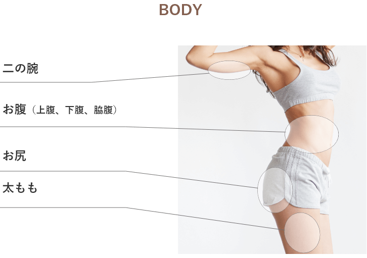 施術部位（BODY）