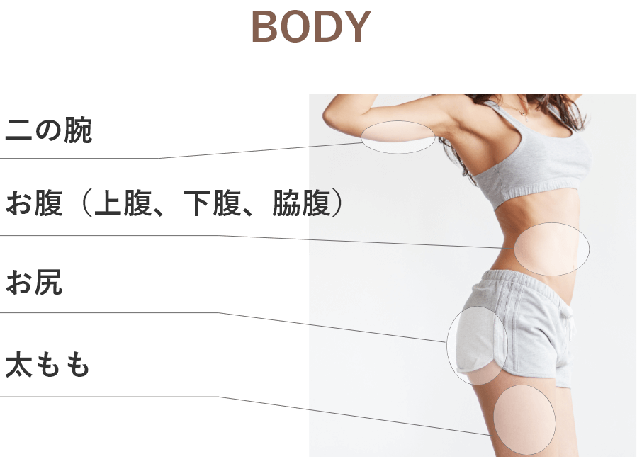 施術部位（BODY）