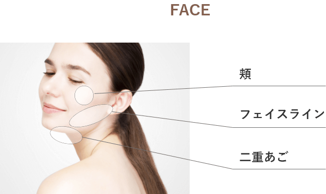 施術部位（FACE）