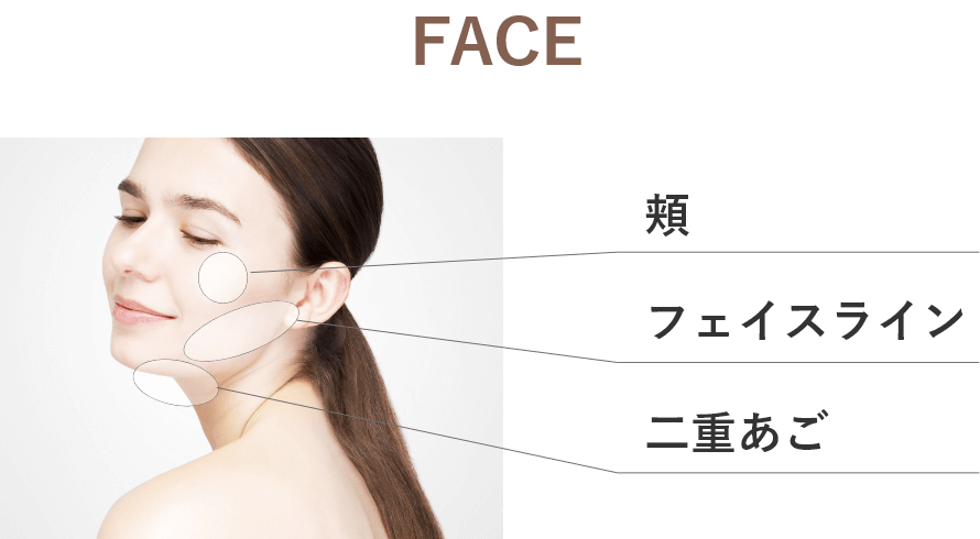 施術部位（FACE）