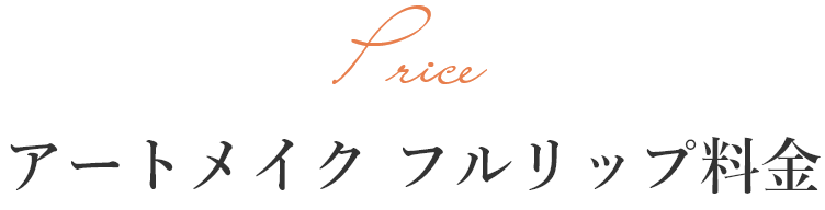 Price アートメイク フルリップ価格
