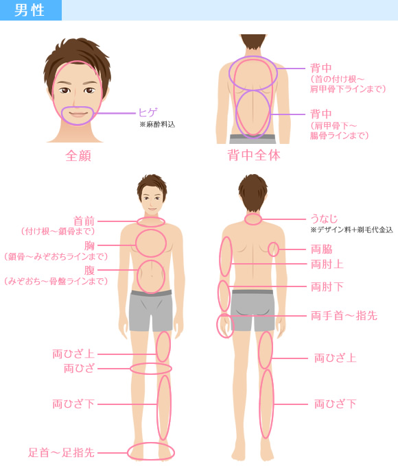 男性の脱毛範囲