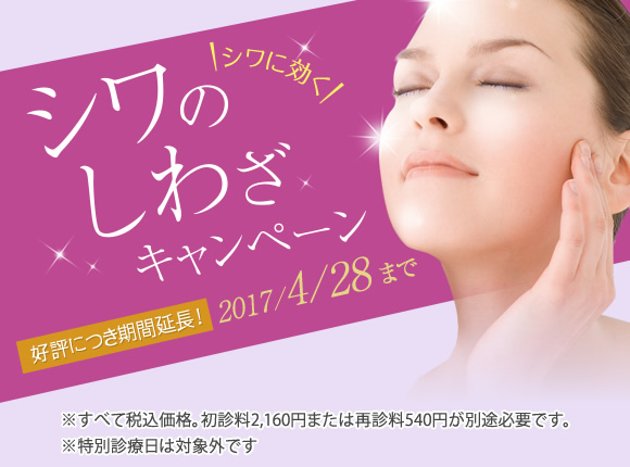 「シワ」のしわざキャンペーン